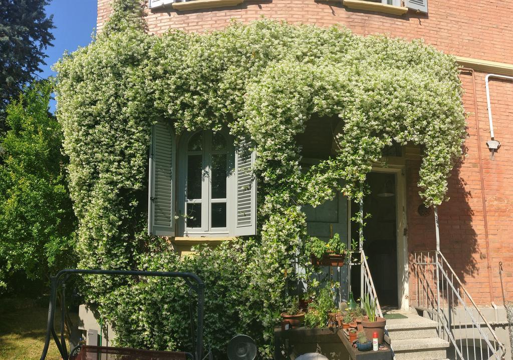 I 4 Gatti Hotell Bologna Eksteriør bilde